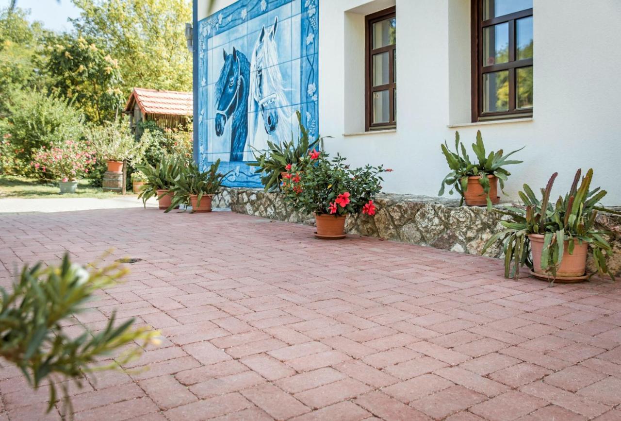Szél Fiai Fogadó Nyúl Exterior foto