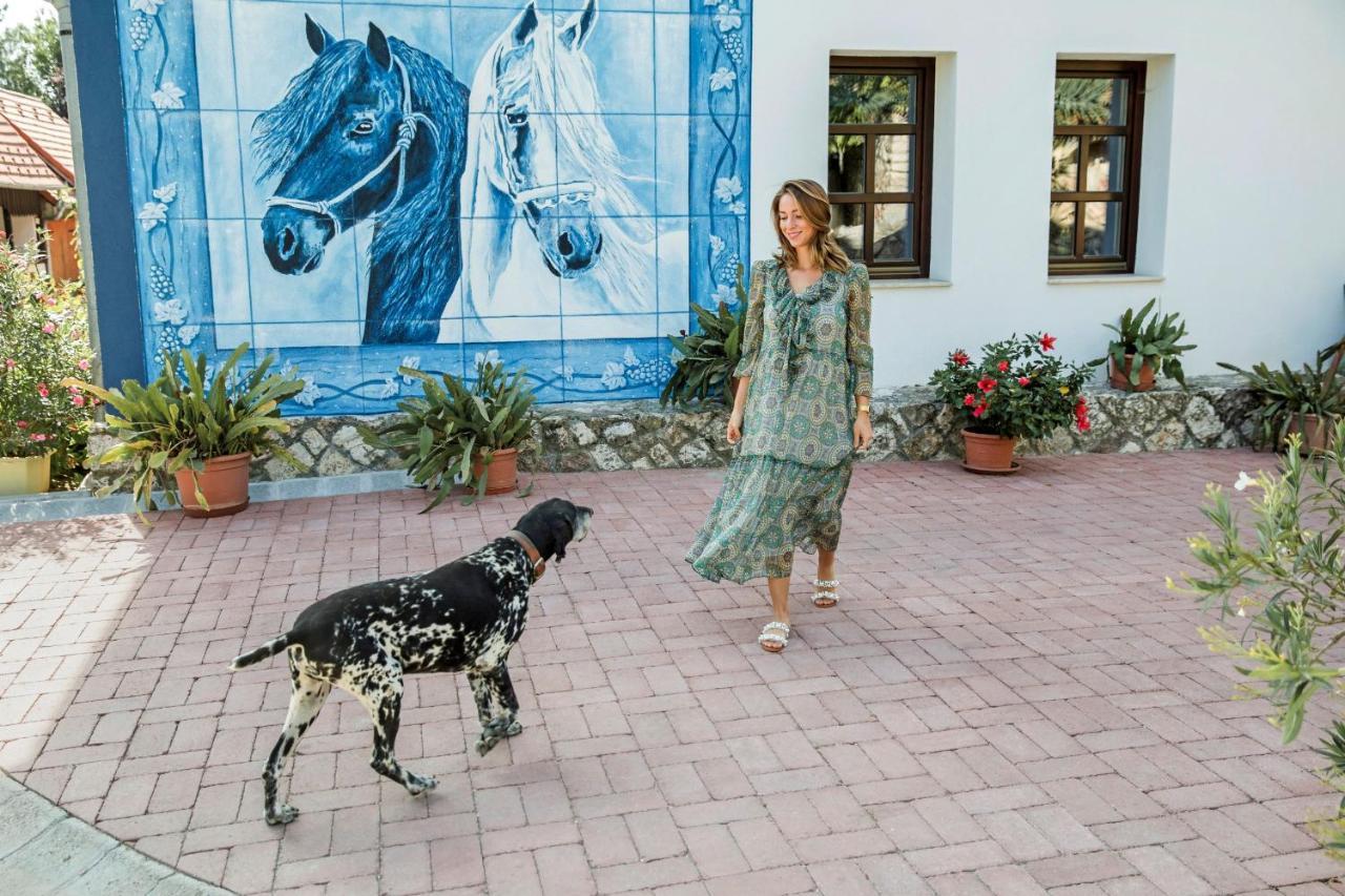 Szél Fiai Fogadó Nyúl Exterior foto